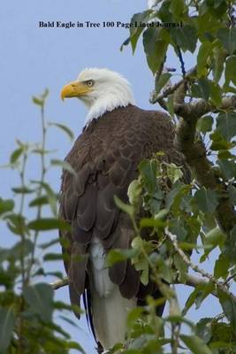 Book cover for Bald Eagle in Tree 100 Page Lined Journal