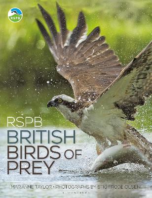 Book cover for RSPB British Birds of Prey