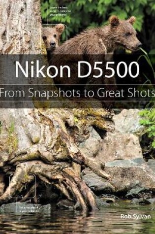 Cover of Nikon D5500