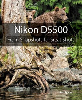 Book cover for Nikon D5500