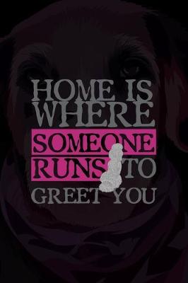 Book cover for Home Is Where Someone Runs To Greet You