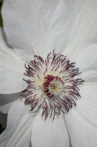 Cover of White Clematis, for the Love of Flowers