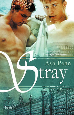 Book cover for Stray