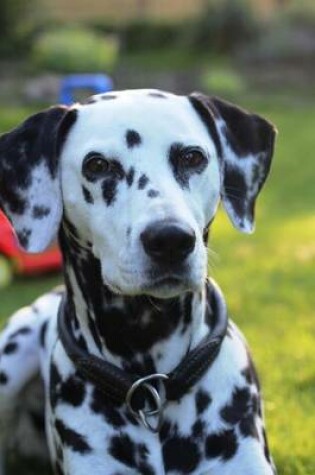 Cover of Dalmatian Portrait Dog Journal