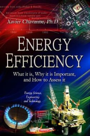 Cover of Energy Efficiency