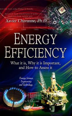 Book cover for Energy Efficiency