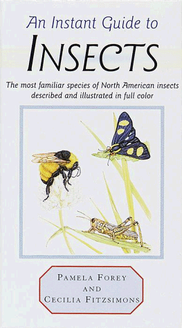 Book cover for An Instant Guide to Insects