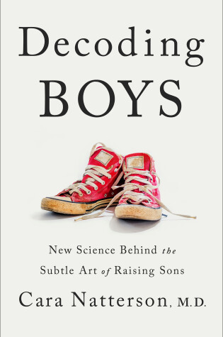 Cover of Decoding Boys