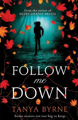 Book cover for Follow Me Down