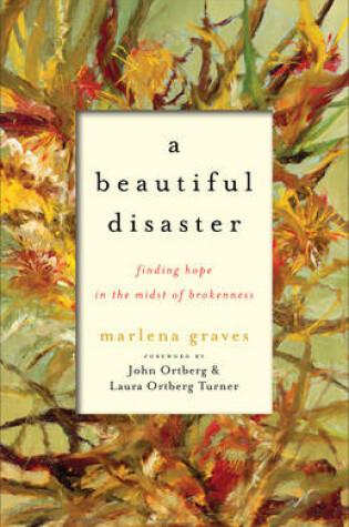 Cover of A Beautiful Disaster