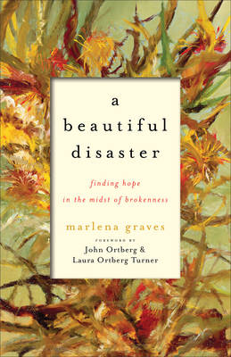 Book cover for A Beautiful Disaster