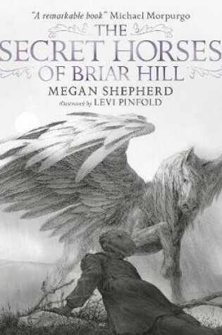 Cover of The Secret Horses of Briar Hill