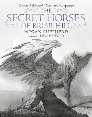 Cover of The Secret Horses of Briar Hill