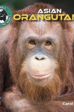 Cover of All about Asian Orangutans