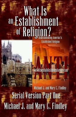 Book cover for What Is an Establishment of Religion?