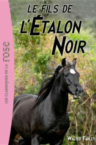 Cover of L'Etalon Noir 04 - Le Fils de L'Etalon Noir