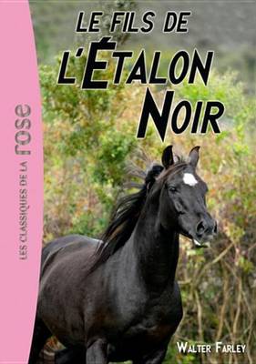 Book cover for L'Etalon Noir 04 - Le Fils de L'Etalon Noir