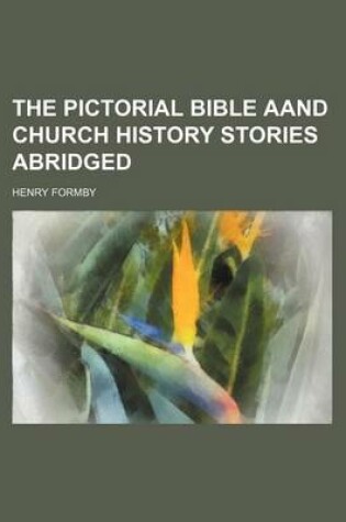 Cover of The Pictorial Bible Aand Church History Stories Abridged