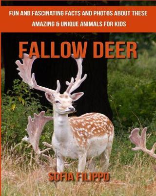 Book cover for Fallow Deer