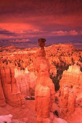 Book cover for Thor's Hammer at Sunset Bryce Canyon, U S National Park in Utah