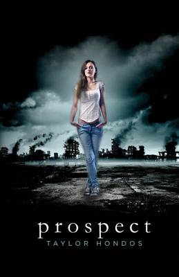 Book cover for Prospect