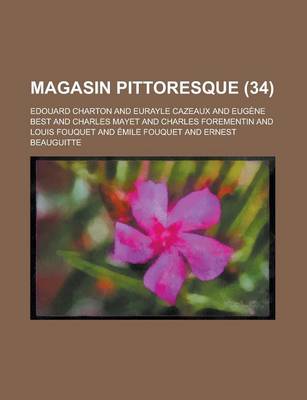 Book cover for Magasin Pittoresque (34 )