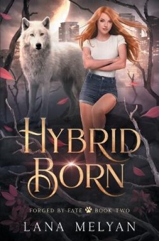 Cover of Hybrid Born