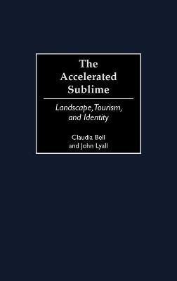 Book cover for The Accelerated Sublime