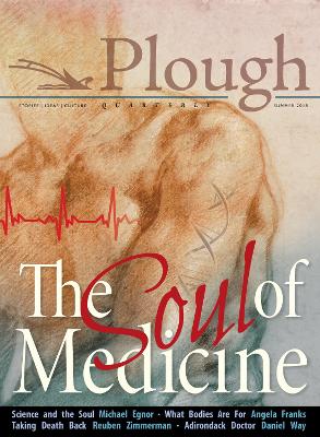 Book cover for Plough Quarterly No. 17- The Soul of Medicine