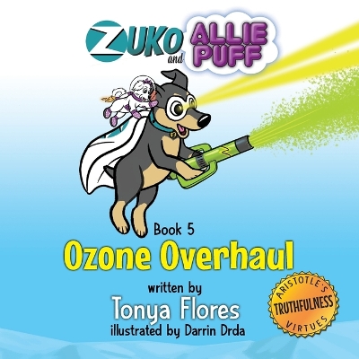 Book cover for Ozone Overhaul