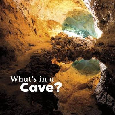 Book cover for Whats in a Cave?