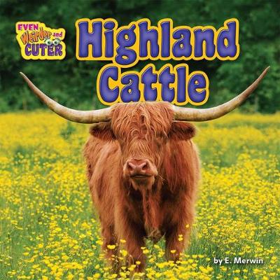 Book cover for Highland Cattle