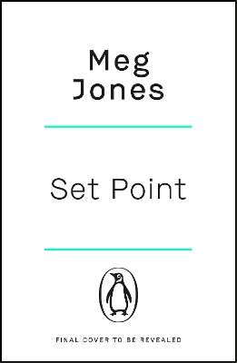 Book cover for Set Point