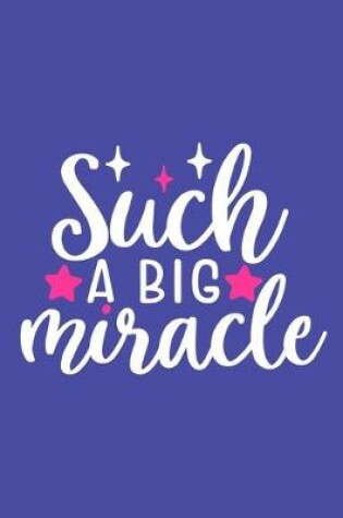 Cover of Such A Big Miracle