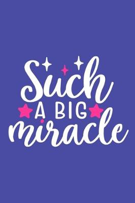 Book cover for Such A Big Miracle