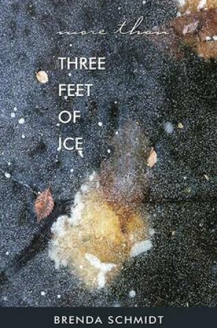 Cover of More Than Three Feet of Ice