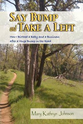 Book cover for Say Bump and Take a Left