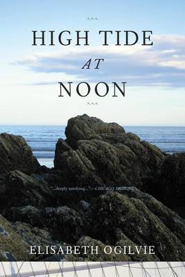 Book cover for High Tide at Noon