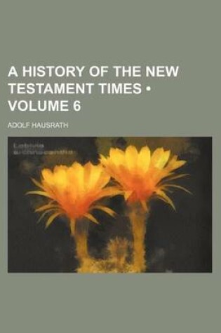 Cover of A History of the New Testament Times (Volume 6)