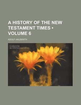 Book cover for A History of the New Testament Times (Volume 6)