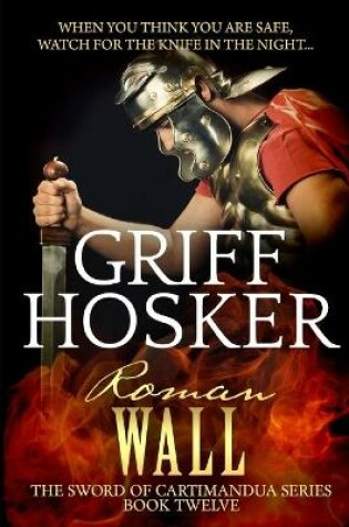 Cover of Roman Wall