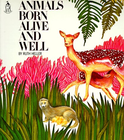 Book cover for Animals Born Alive and Well (Sandcastle)