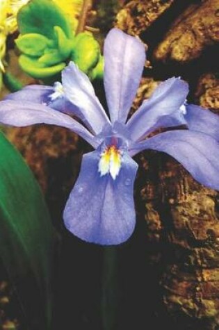 Cover of Wild Iris Pretty Blank Lined Journal for daily thoughts notebook Lovely Lake Arrowhead Photograph