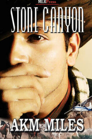 Cover of Stone Canyon