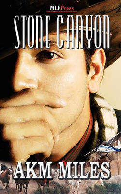 Book cover for Stone Canyon