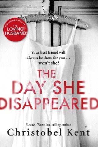 Cover of The Day She Disappeared