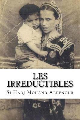 Book cover for Les Irreductibles