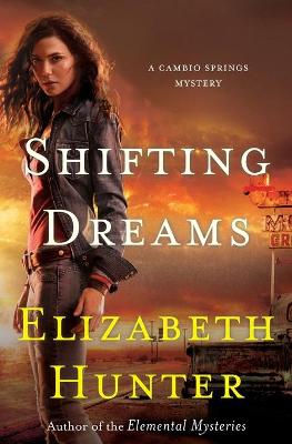 Cover of Shifting Dreams