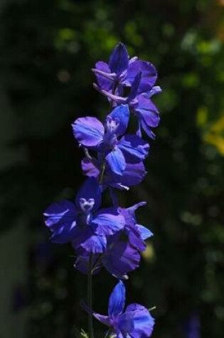 Cover of Blue Delphinium Larkspur Flower Journal