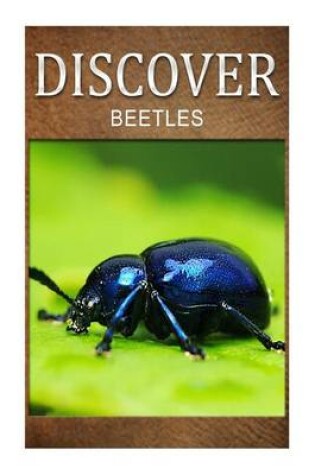 Cover of Beetles - Discover